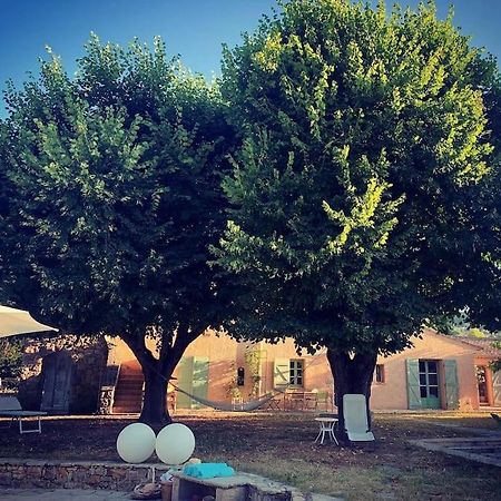 فيلا Bastide Provencale De Charme A La Cote D'Azur كاليان المظهر الخارجي الصورة
